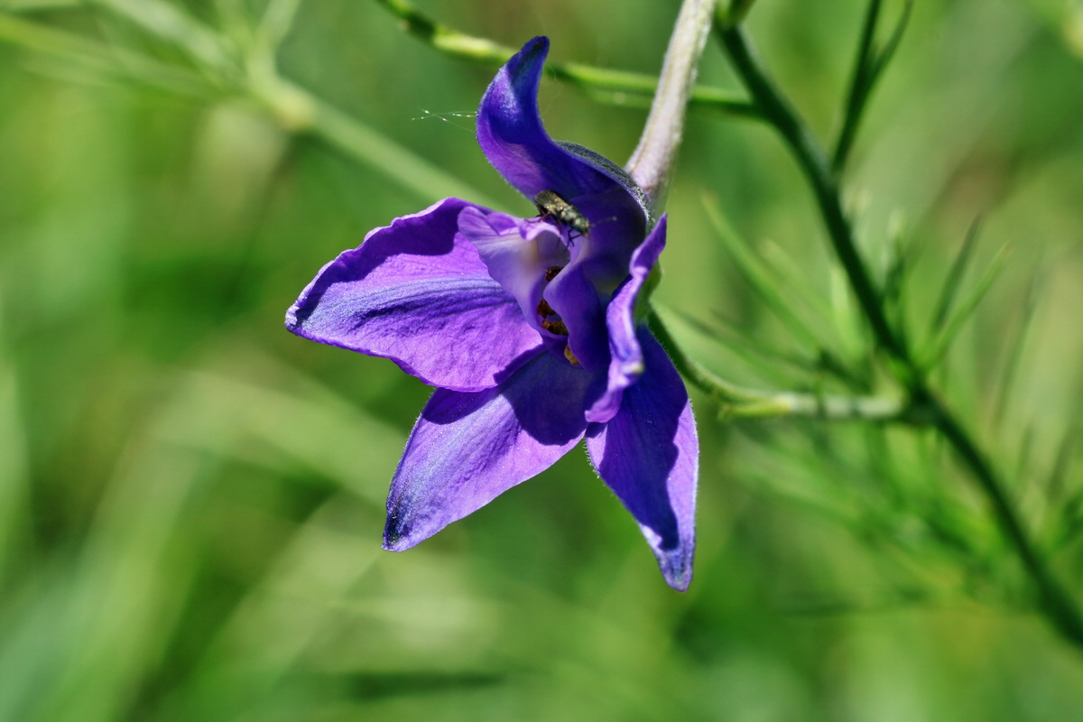 IMG-2016-05-31-00017624p_Bildgr��e �ndern