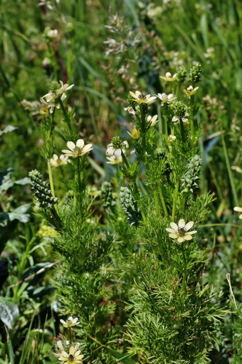 IMG-2016-05-31-00017631p_Bildgr��e �ndern