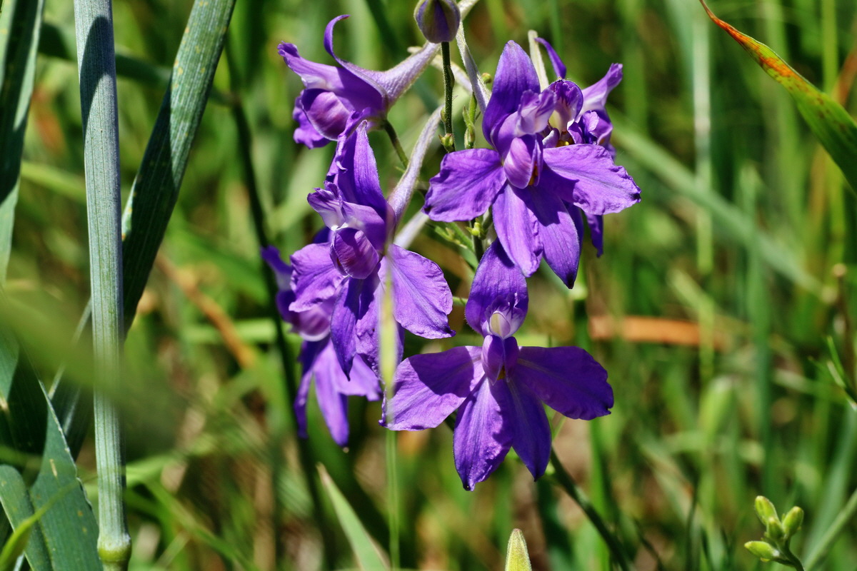 IMG-2016-05-31-00017635p_Bildgr��e �ndern