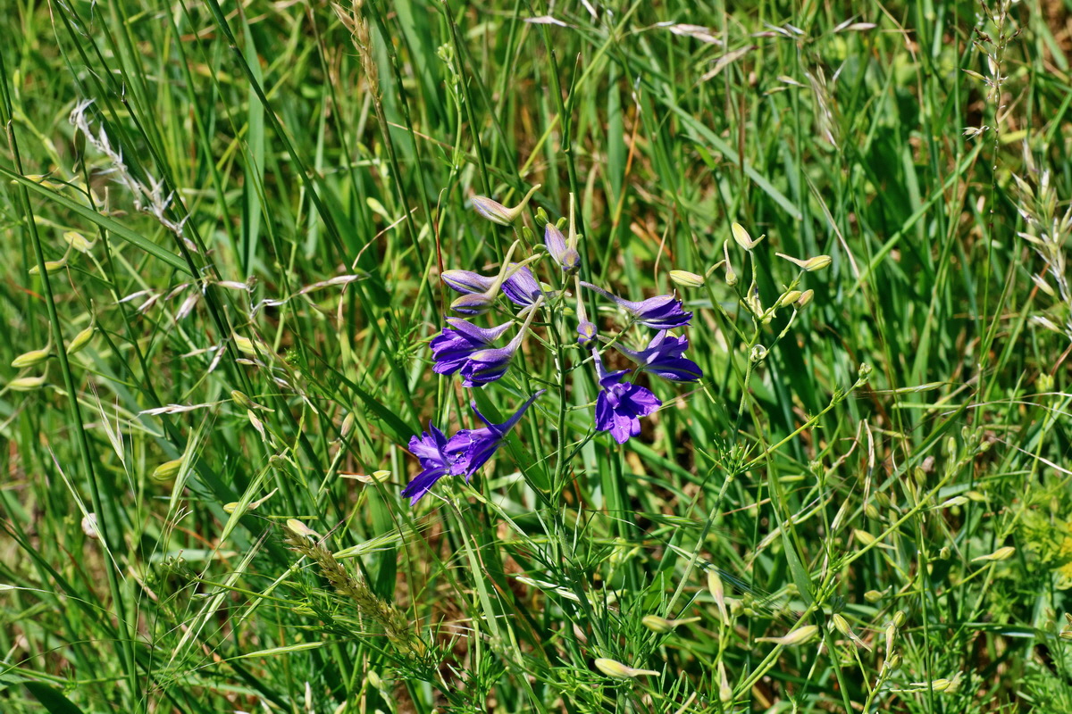 IMG-2016-05-31-00017642p_Bildgr��e �ndern