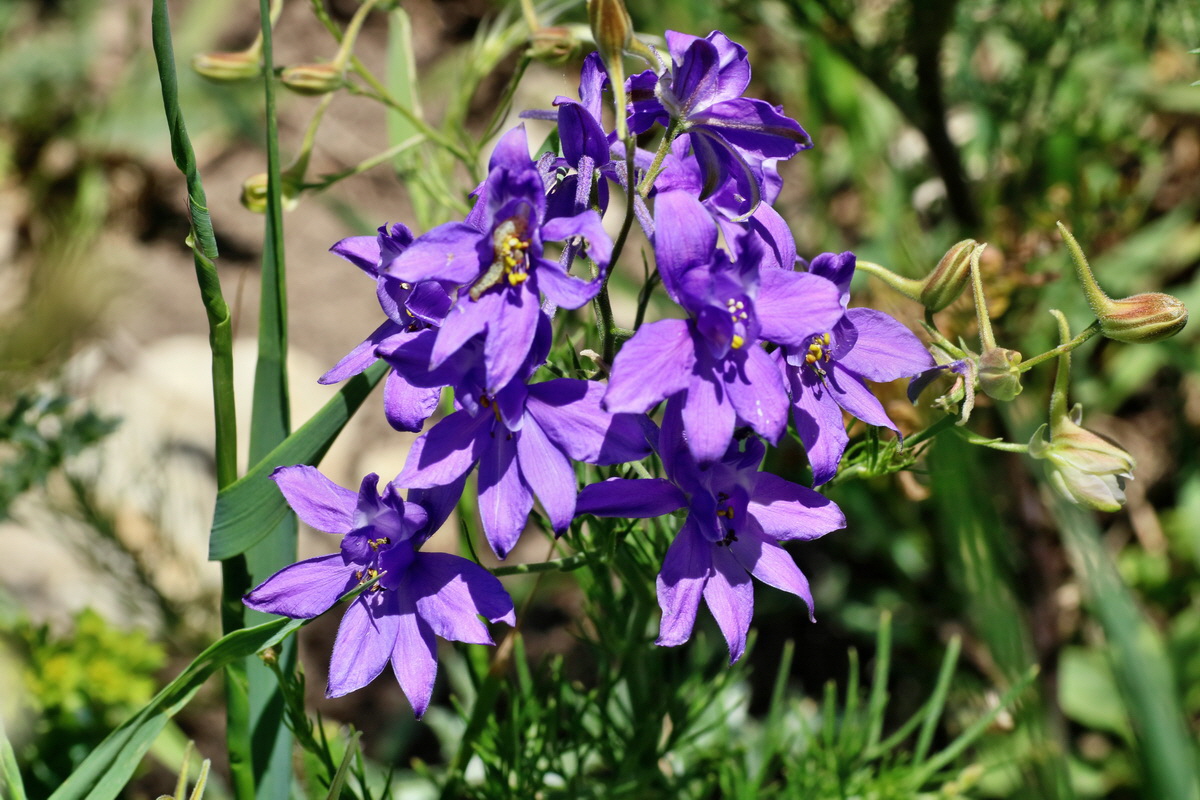 IMG-2016-05-31-00017654p_Bildgr��e �ndern