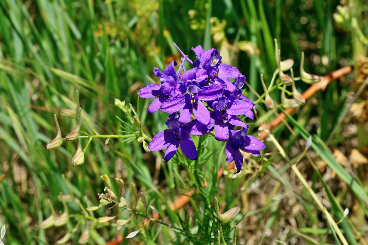 IMG-2016-05-31-00017658p_Bildgr��e �ndern