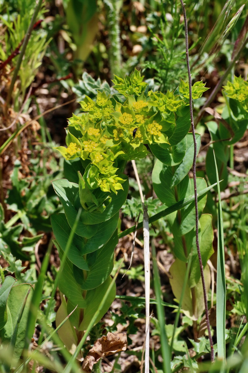 IMG-2016-05-31-00017661p_Bildgr��e �ndern