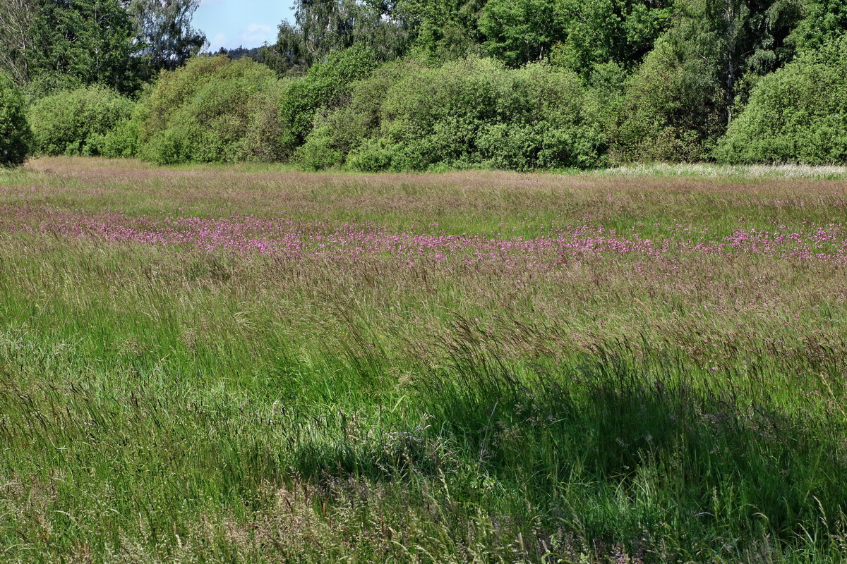 IMG-2016-05-31-00017703p_Bildgr��e �ndern