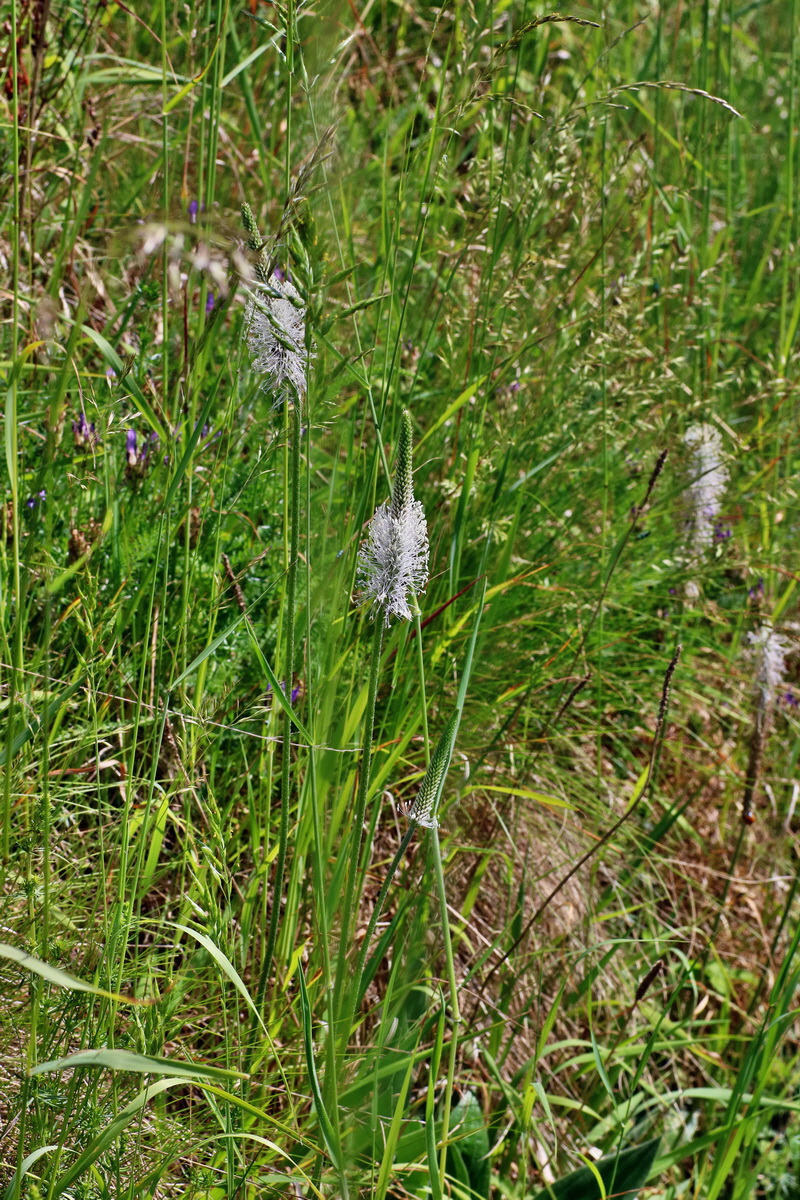 IMG-2016-05-31-00017711p_Bildgr��e �ndern