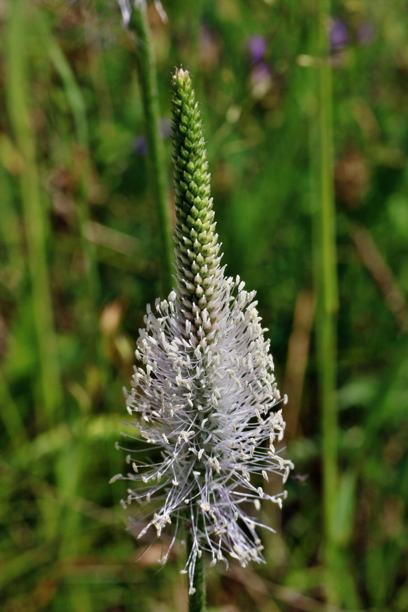 IMG-2016-05-31-00017734p_Bildgr��e �ndern