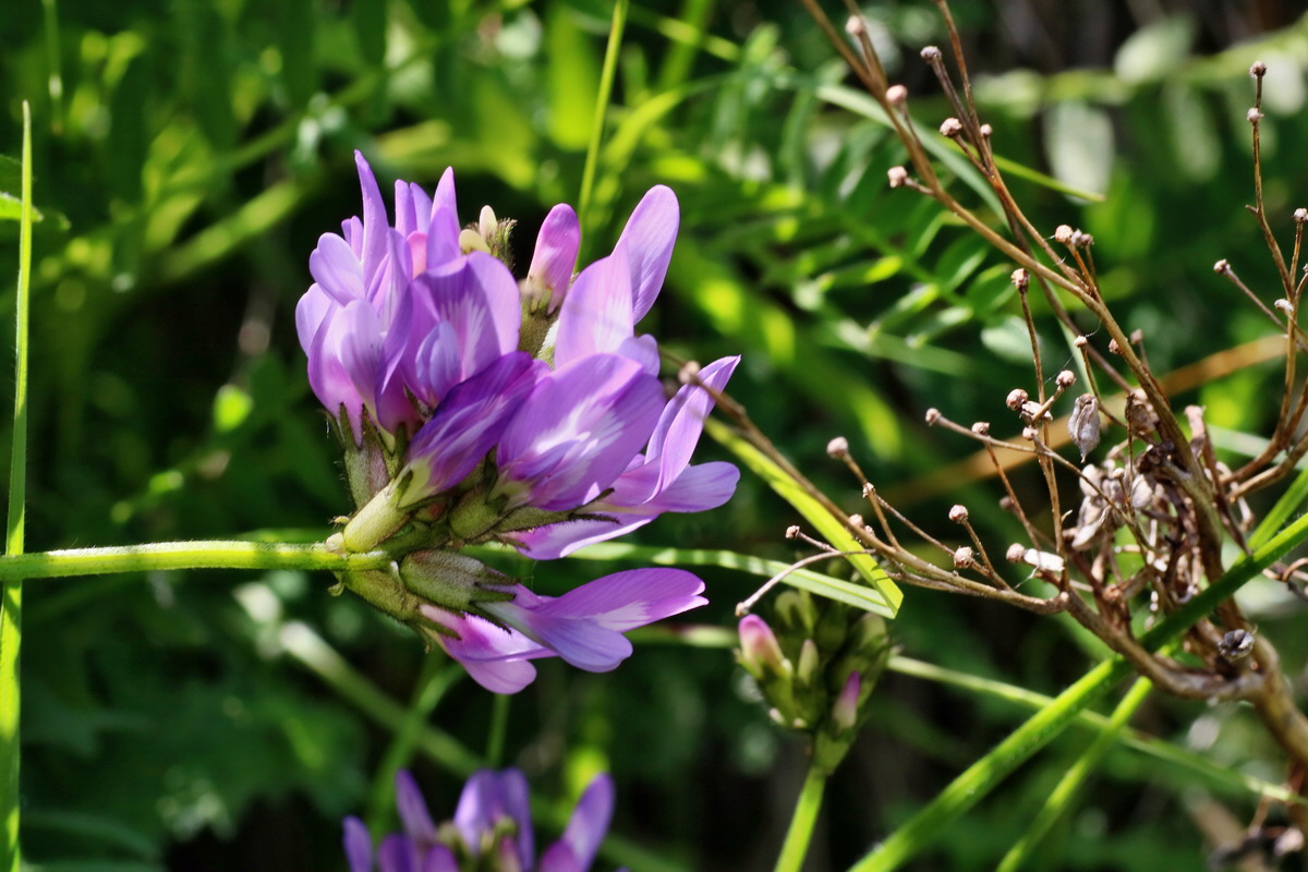 IMG-2016-05-31-00017738p_Bildgr��e �ndern