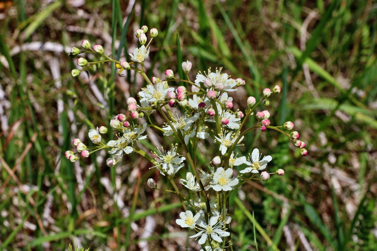 IMG-2016-05-31-00017744p_Bildgr��e �ndern