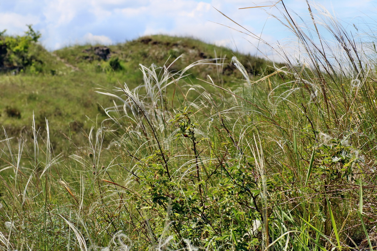 IMG-2016-05-31-00017749p_Bildgr��e �ndern