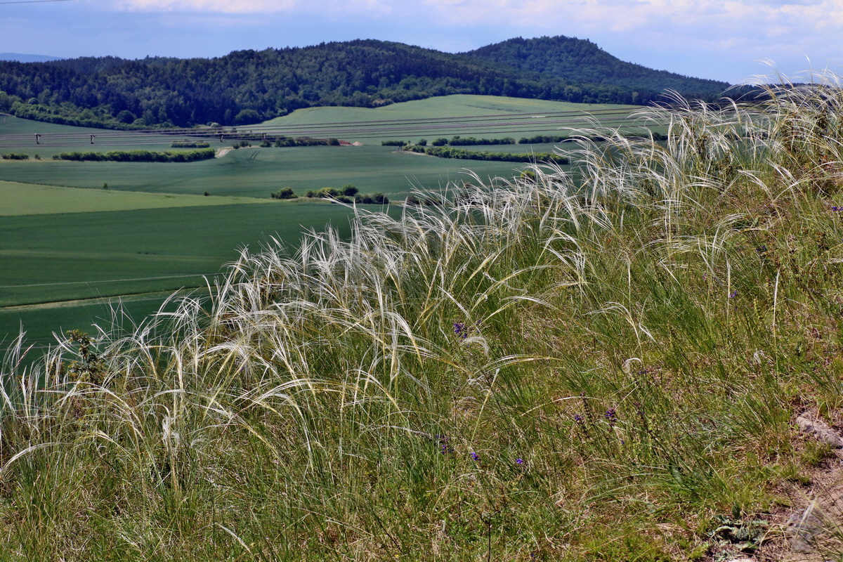 IMG-2016-05-31-00017769p_Bildgr��e �ndern