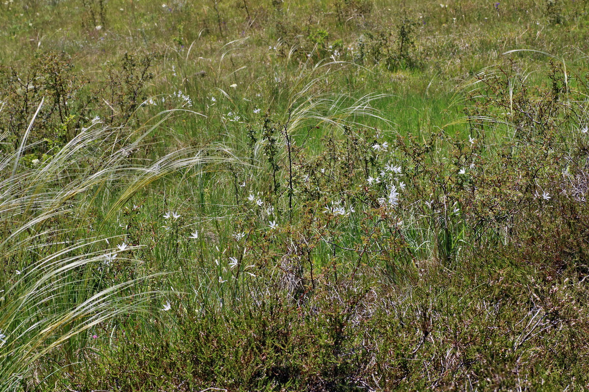 IMG-2016-05-31-00017773p_Bildgr��e �ndern