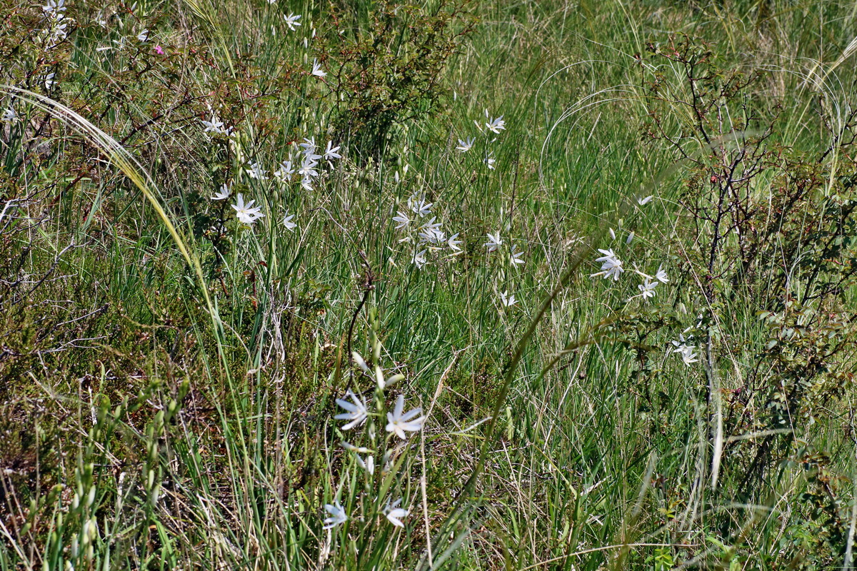 IMG-2016-05-31-00017778p_Bildgr��e �ndern