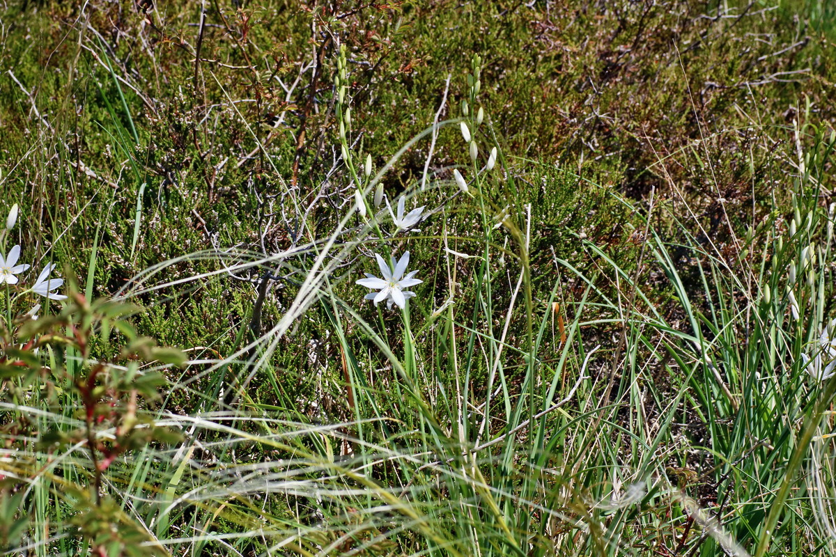 IMG-2016-05-31-00017782p_Bildgr��e �ndern