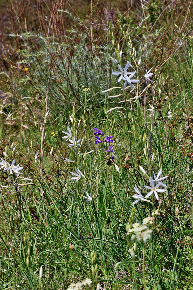 IMG-2016-05-31-00017787p_Bildgr��e �ndern