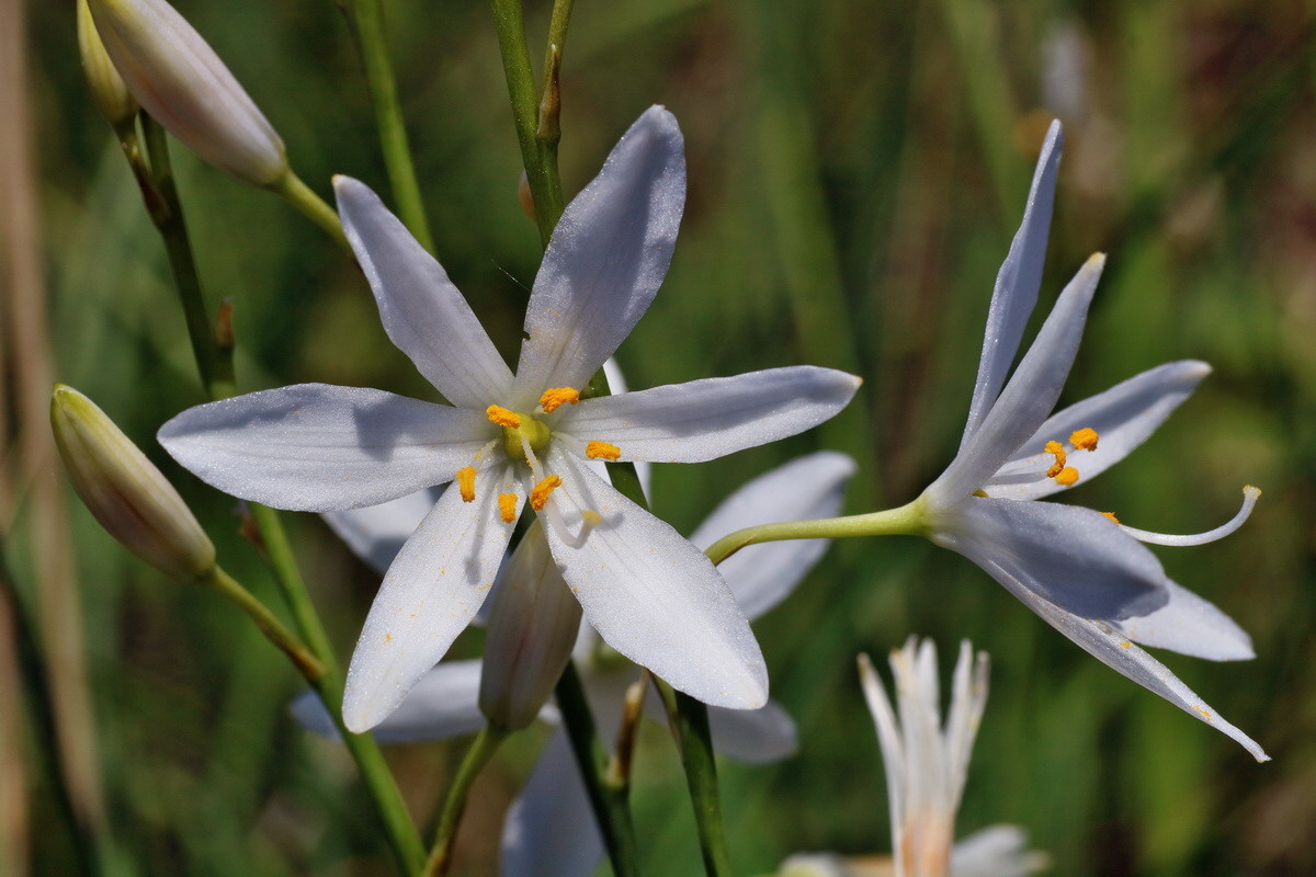 IMG-2016-05-31-00017797p_Bildgr��e �ndern