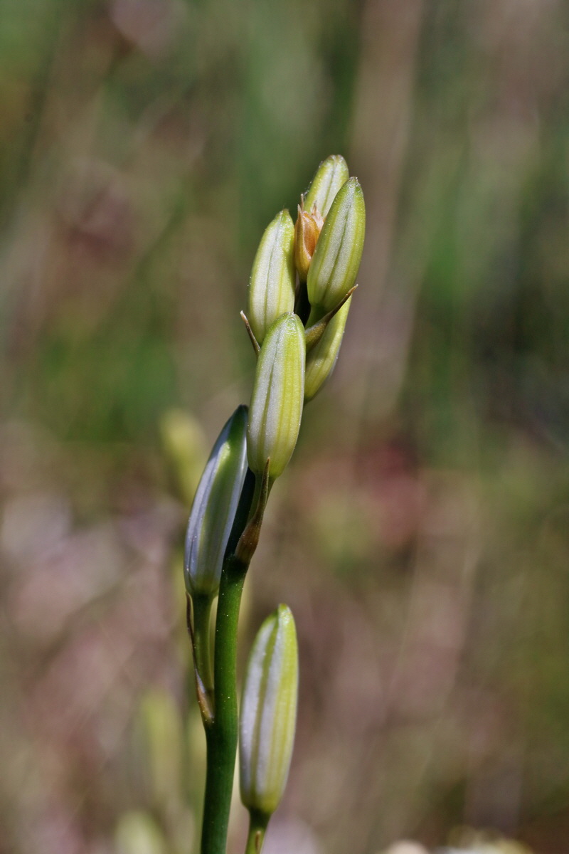 IMG-2016-05-31-00017800p_Bildgr��e �ndern