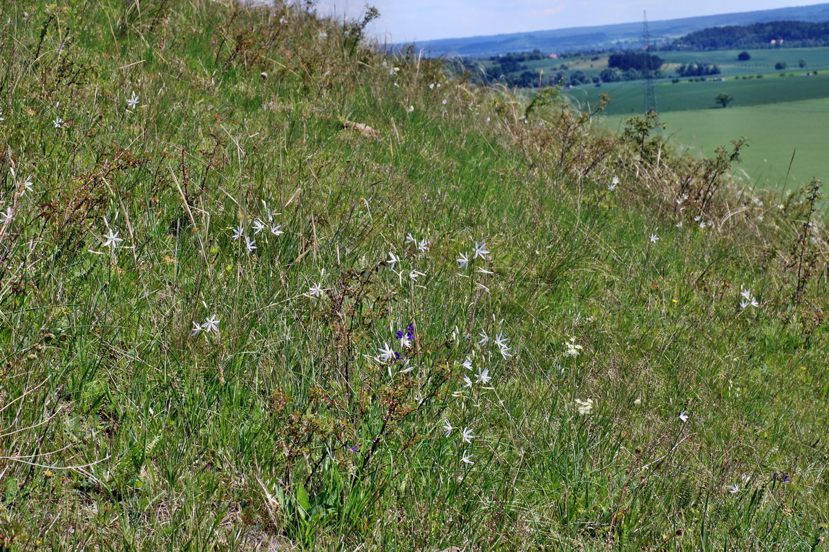 IMG-2016-05-31-00017805p_Bildgr��e �ndern