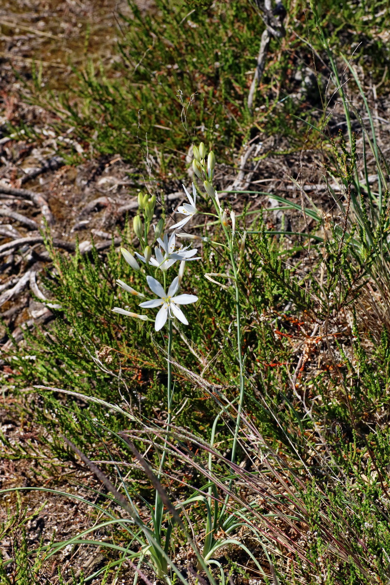 IMG-2016-05-31-00017819p_Bildgr��e �ndern