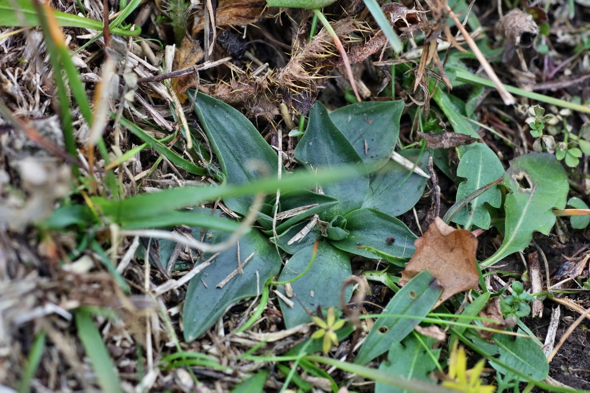 IMG-2015-12-28-00009393p_Bildgr��e �ndern