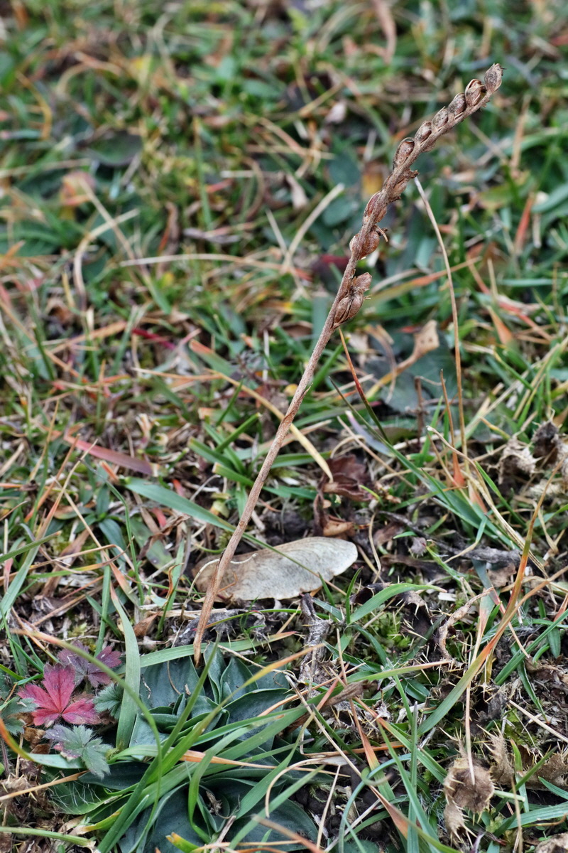 IMG-2015-12-28-00009403p_Bildgr��e �ndern