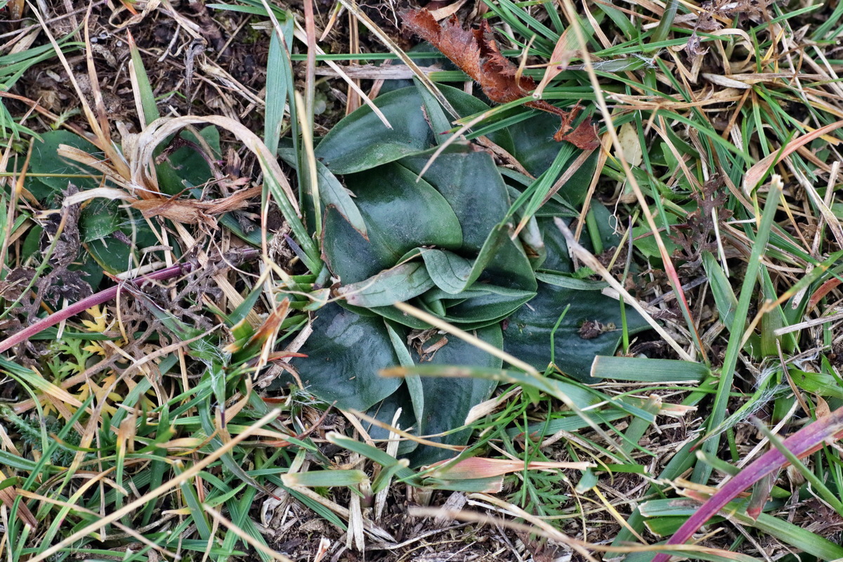 IMG-2015-12-28-00009416p_Bildgr��e �ndern