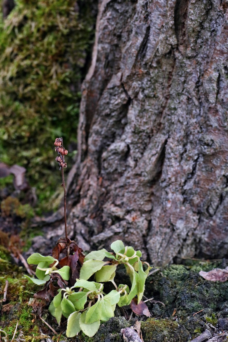 IMG-2015-12-28-00009434p_Bildgr��e �ndern