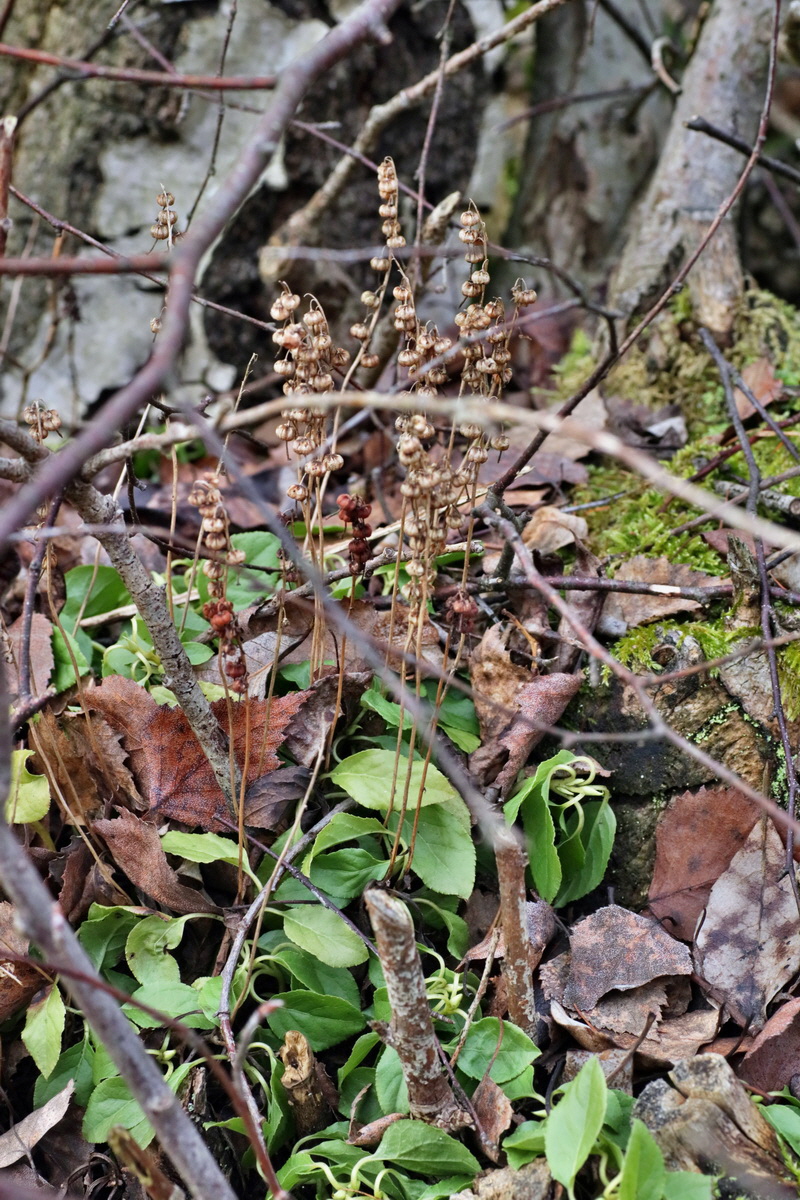 IMG-2015-12-28-00009445p_Bildgr��e �ndern