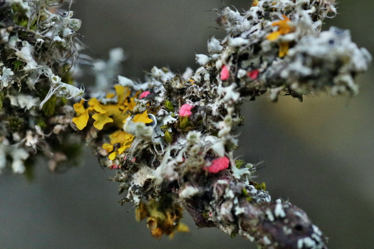 IMG-2015-12-28-00009523p_Bildgr��e �ndern