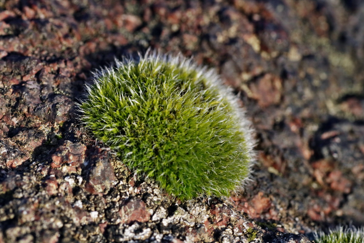 IMG-2016-02-06-00010829p_Bildgr��e �ndern