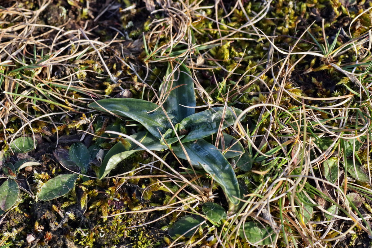 IMG-2016-02-06-00010831p_Bildgr��e �ndern