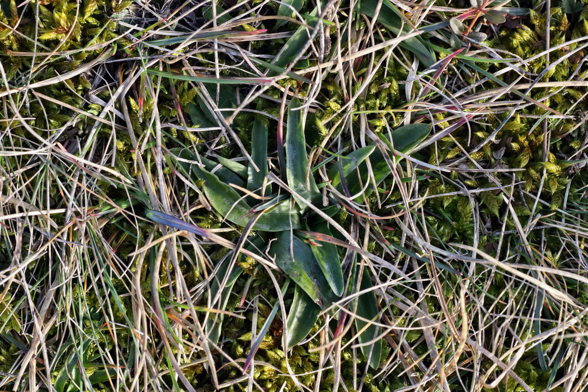 IMG-2016-02-06-00010835p_Bildgr��e �ndern