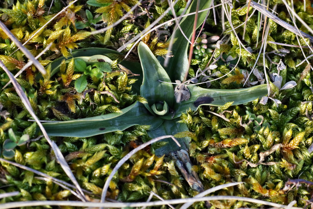 IMG-2016-02-06-00010840p_Bildgr��e �ndern