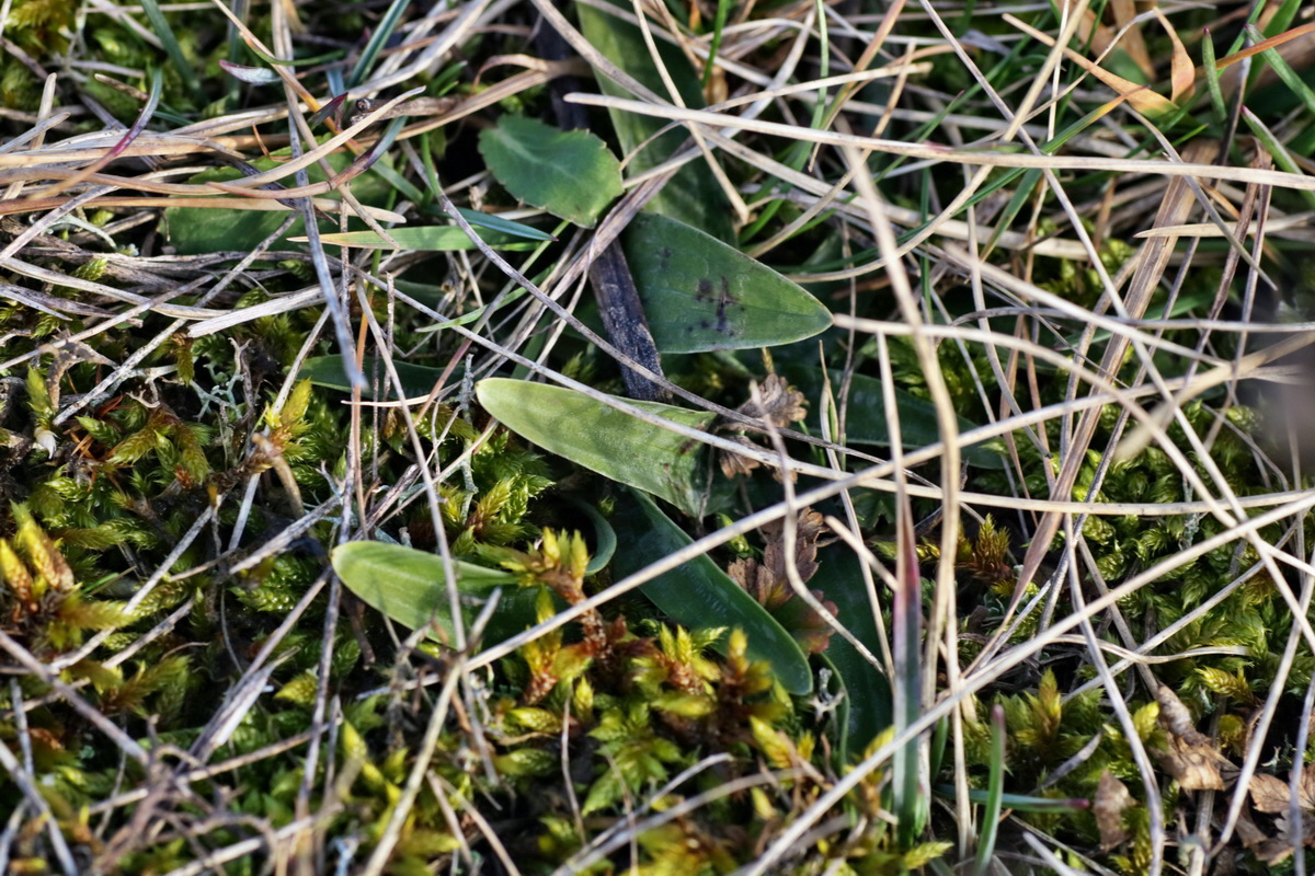 IMG-2016-02-06-00010847p_Bildgr��e �ndern