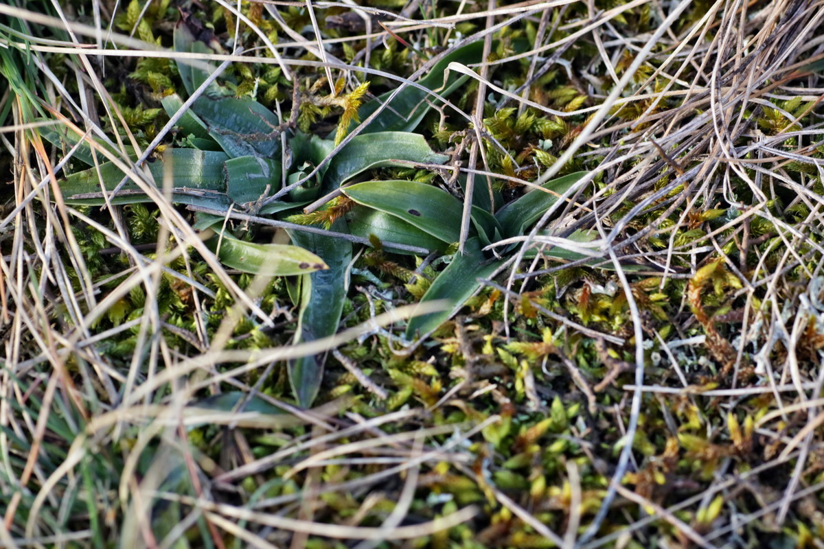 IMG-2016-02-06-00010851p_Bildgr��e �ndern