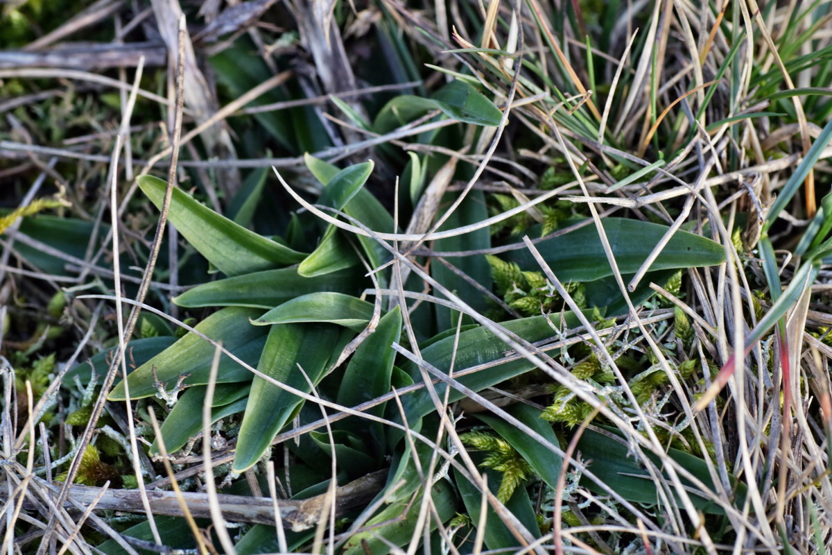 IMG-2016-02-06-00010858p_Bildgr��e �ndern