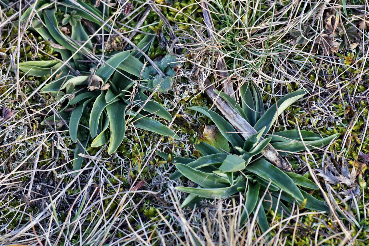 IMG-2016-02-06-00010864p_Bildgr��e �ndern