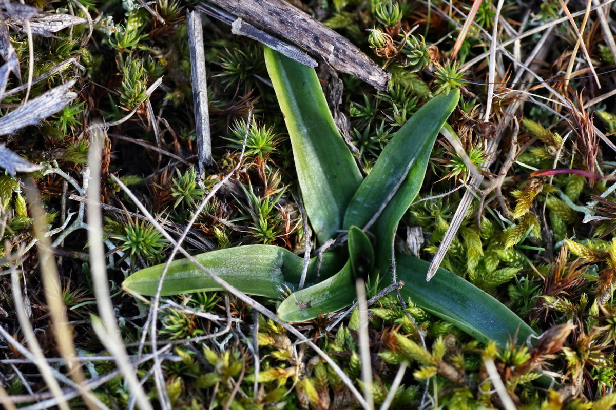 IMG-2016-02-06-00010869p_Bildgr��e �ndern