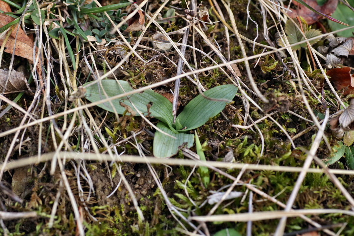 IMG-2016-02-13-00010876p_Bildgr��e �ndern