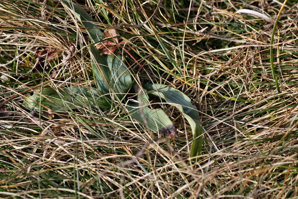 IMG-2016-02-13-00010880p_Bildgr��e �ndern