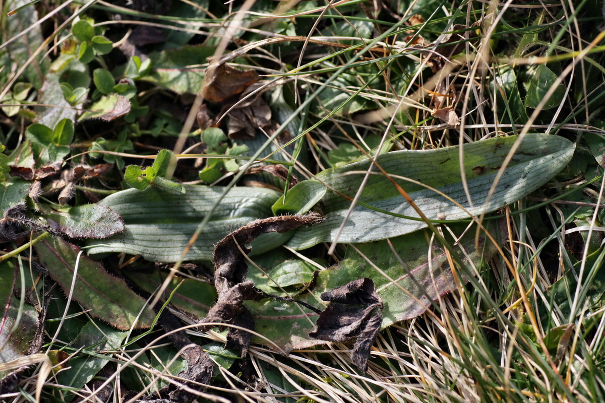 IMG-2016-02-13-00010882p_Bildgr��e �ndern