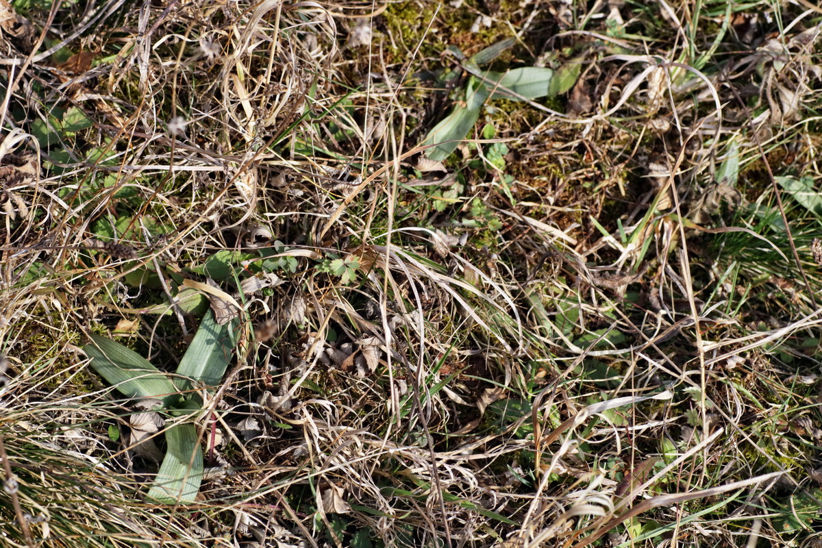 IMG-2016-02-13-00010884p_Bildgr��e �ndern