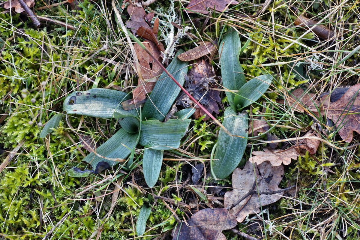 IMG-2016-02-13-00010888p_Bildgr��e �ndern