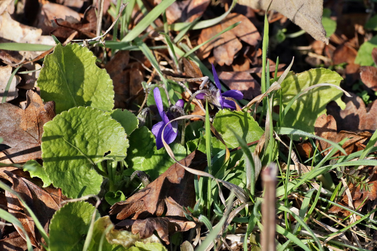 IMG-2016-02-13-00010892p_Bildgr��e �ndern