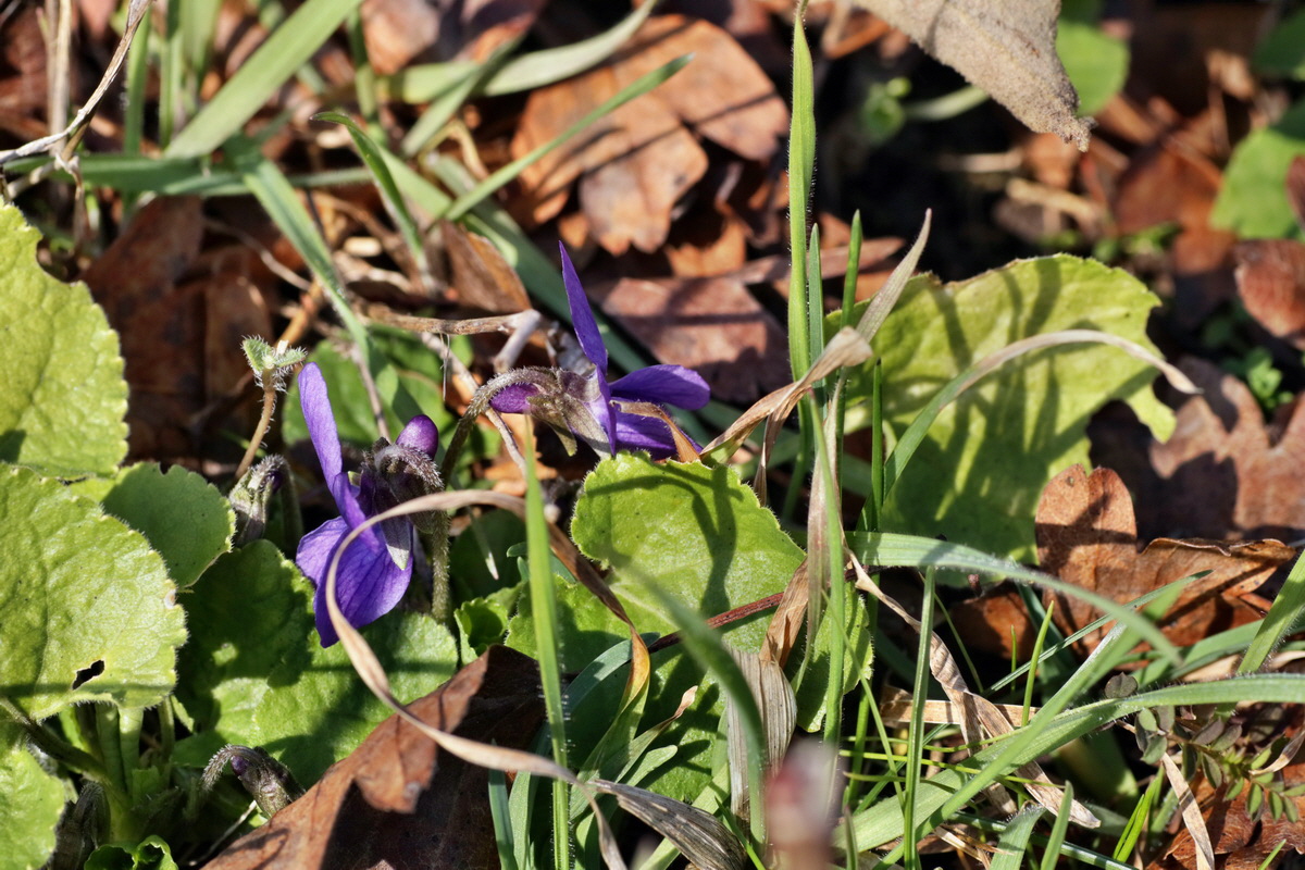 IMG-2016-02-13-00010894p_Bildgr��e �ndern