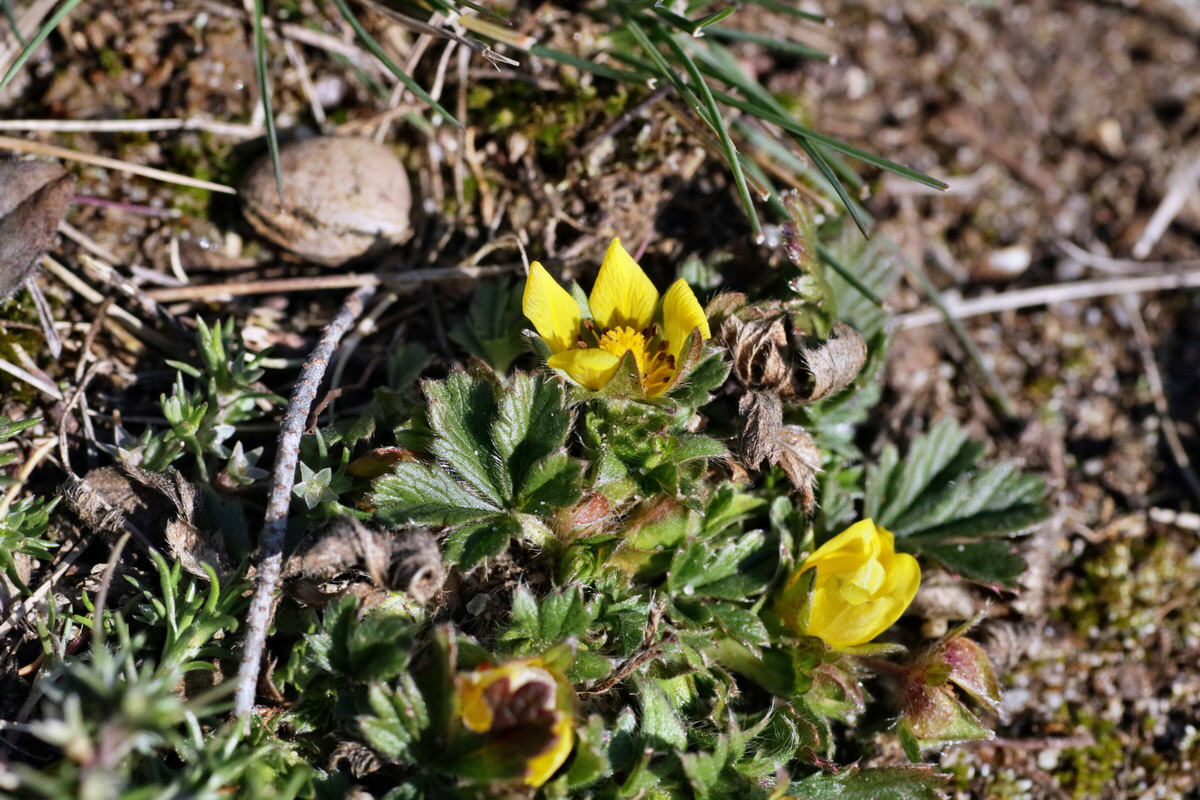 IMG-2016-02-13-00010902p_Bildgr��e �ndern