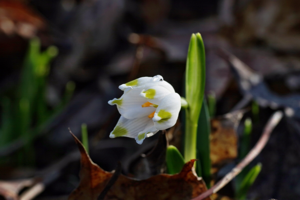 IMG-2016-02-13-00010916p_Bildgr��e �ndern