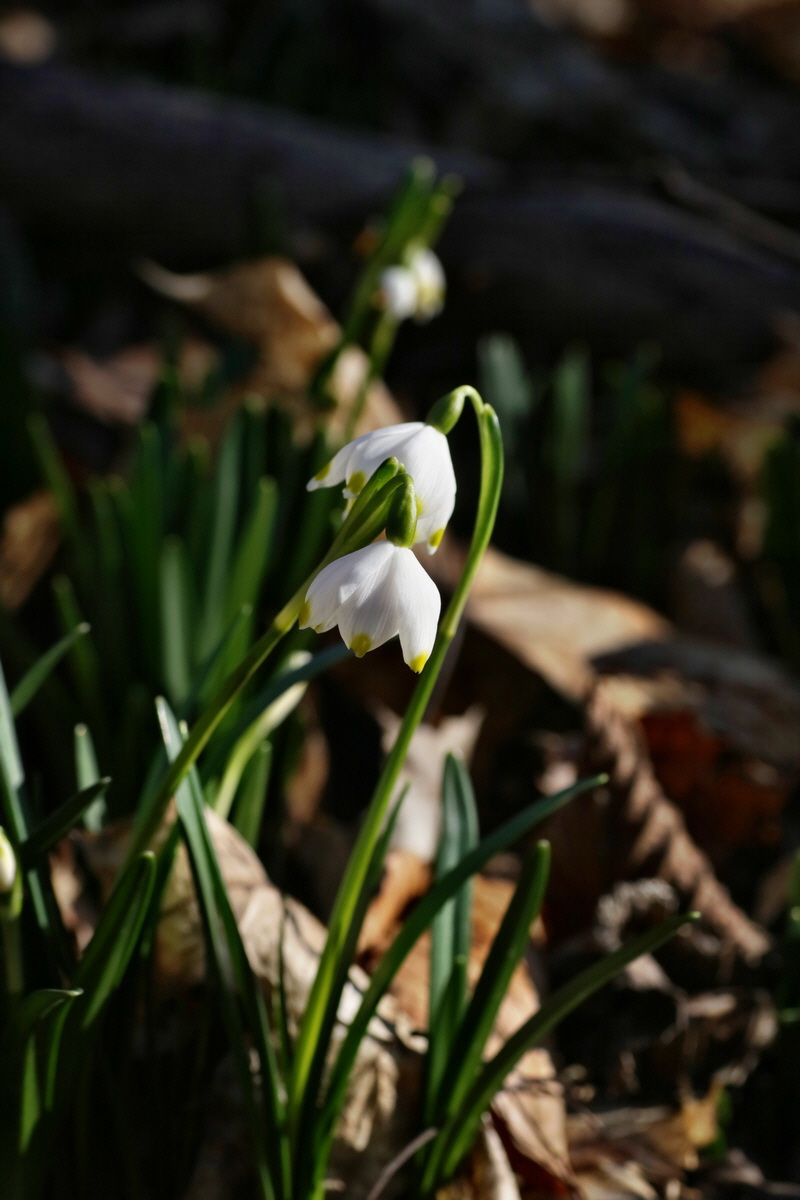 IMG-2016-02-13-00010930p_Bildgr��e �ndern