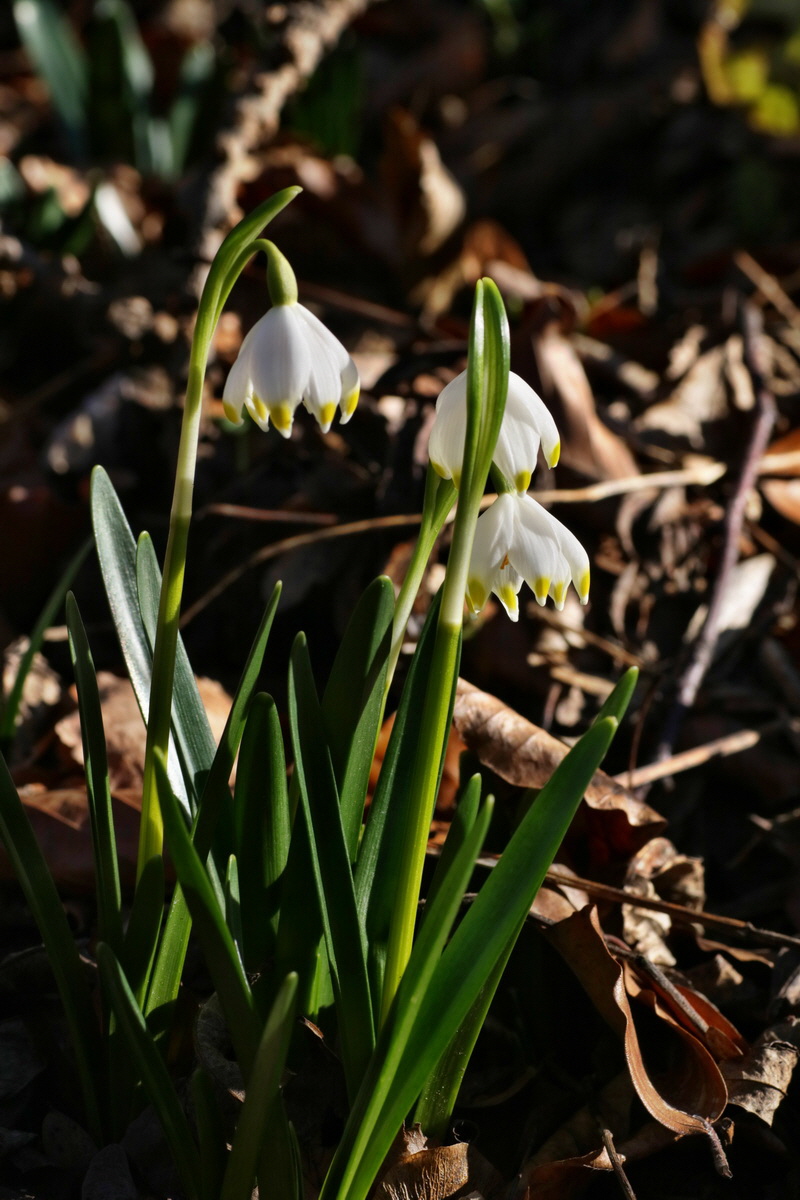 IMG-2016-02-13-00010935p_Bildgr��e �ndern