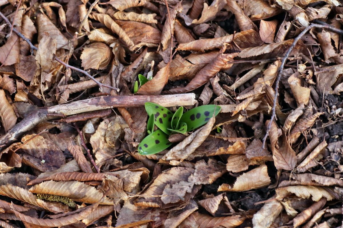 IMG-2016-02-13-00010965p_Bildgr��e �ndern