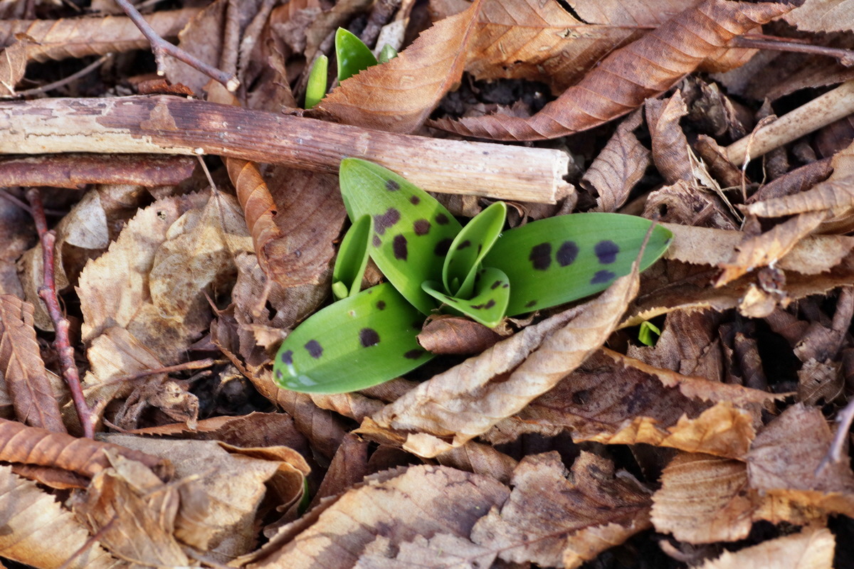 IMG-2016-02-13-00010972p_Bildgr��e �ndern